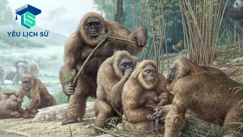 Gigantopithecus