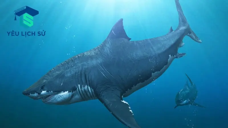 Megalodon