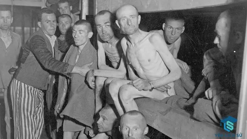 Chiến tranh thế giới thứ hai và thảm họa Holocaust (1939-1945) 
