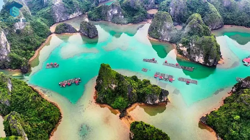 Làng chài Vung Viêng