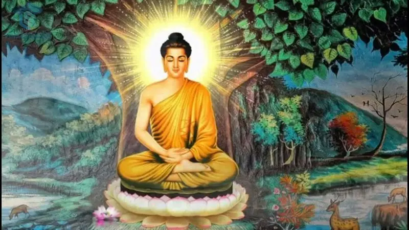 Những năm cuối đời của Đức Phật Thích Ca Mâu Ni