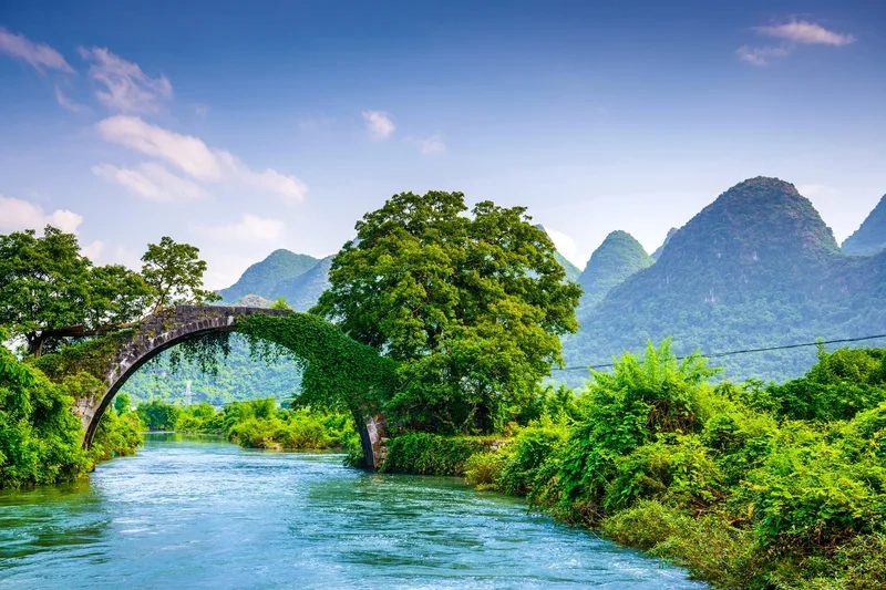 Hình ảnh nền đẹp cho máy tính Ekko sẽ khiến bạn cảm thấy hài lòng