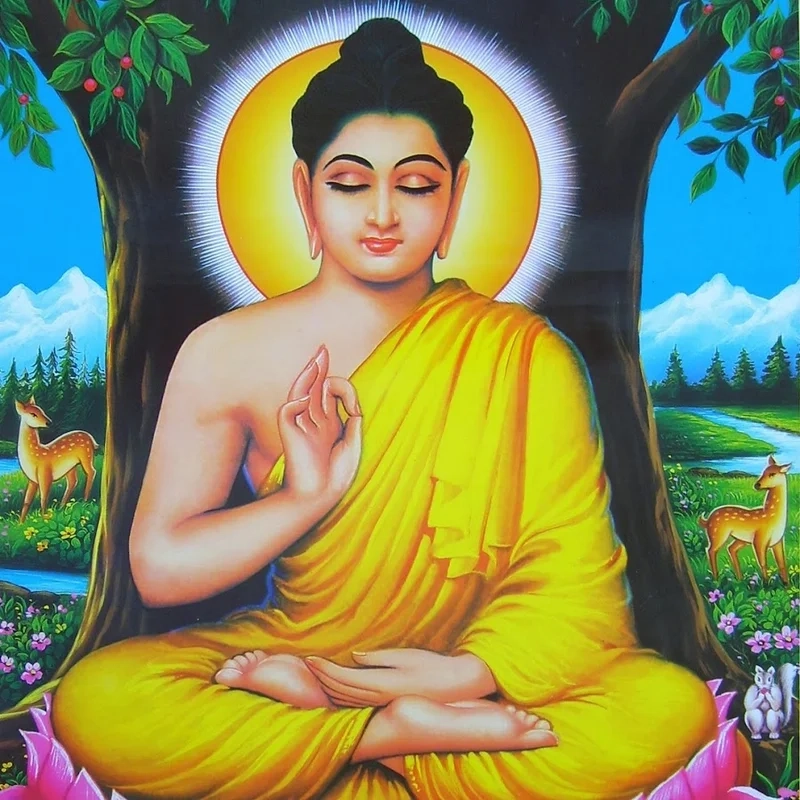 Ảnh phật thích ca ngồi thiền sẽ giúp bạn tìm thấy sự bình an trong tâm hồn