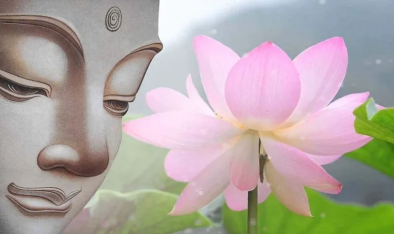 Ảnh phật bà quan âm sẽ giúp bạn tìm thấy sự bình an trong cuộc sống