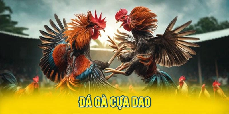 Cách đặt cược thông minh khi chơi tại SV368