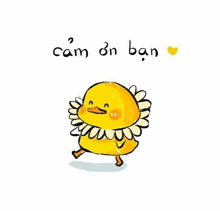Ảnh chú vịt cute độc đáo với avatar vịt hài hước