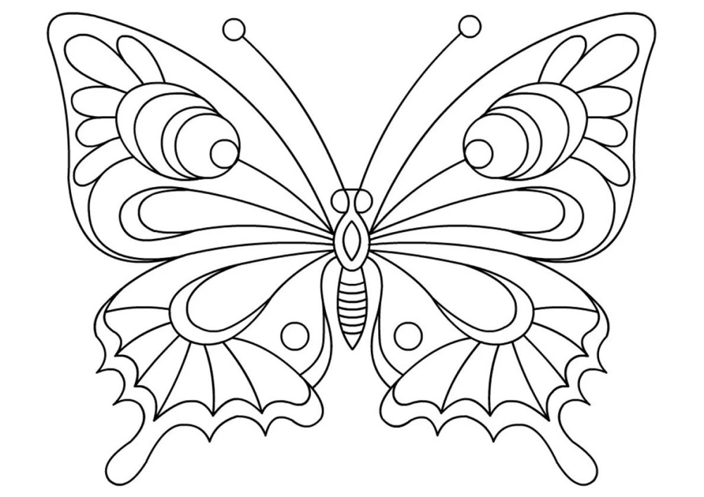 Tưởng tượng tranh tô màu con bướm bay nhẹ nhàng trên trang