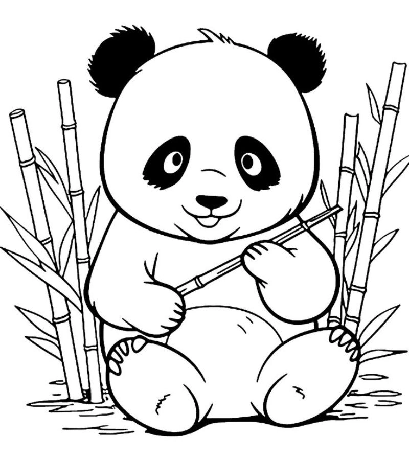 Khám phá niềm vui tô vẽ từ tranh tô màu gấu dễ thương