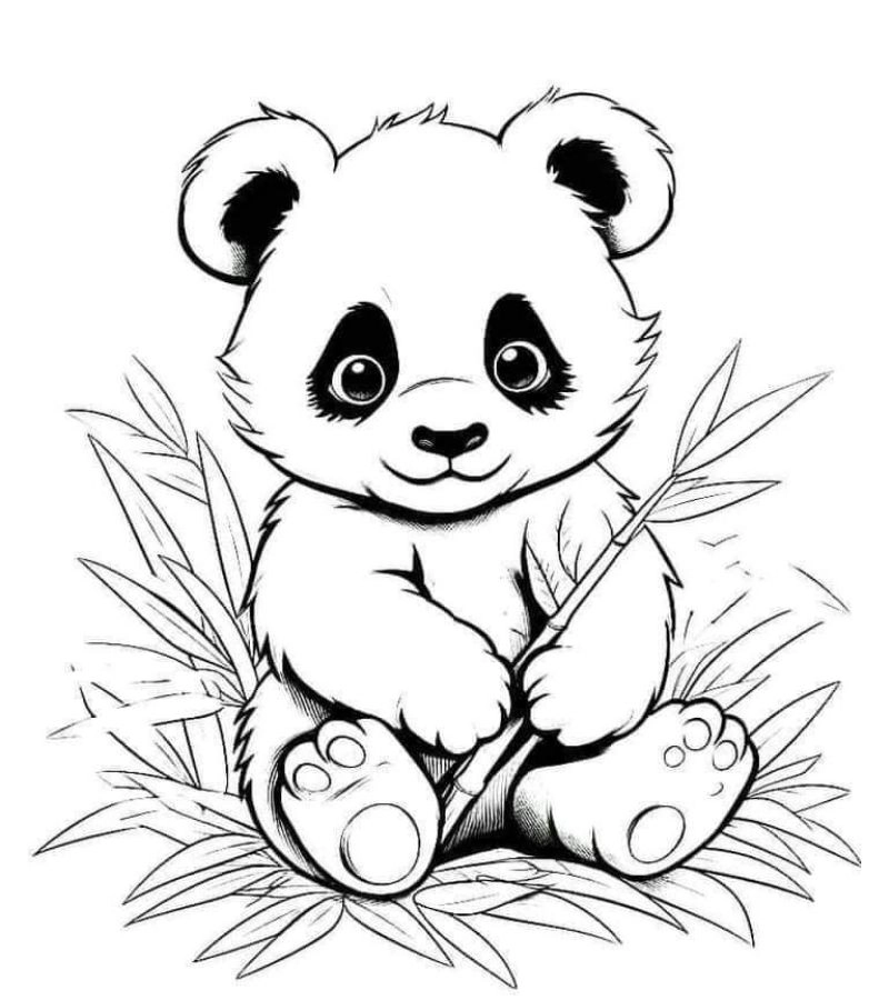 Nhanh tay tải tranh tô màu con gấu miễn phí cho bé thỏa sức