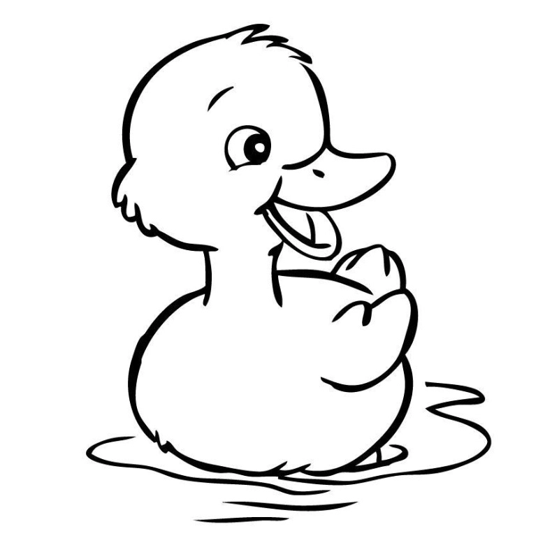 Thỏa sức sáng tạo với tranh tô màu con vịt cute dễ thương