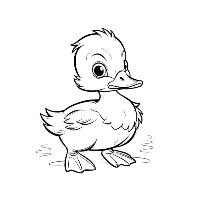 Học tô màu cùng tranh tô màu con vịt donald thú vị