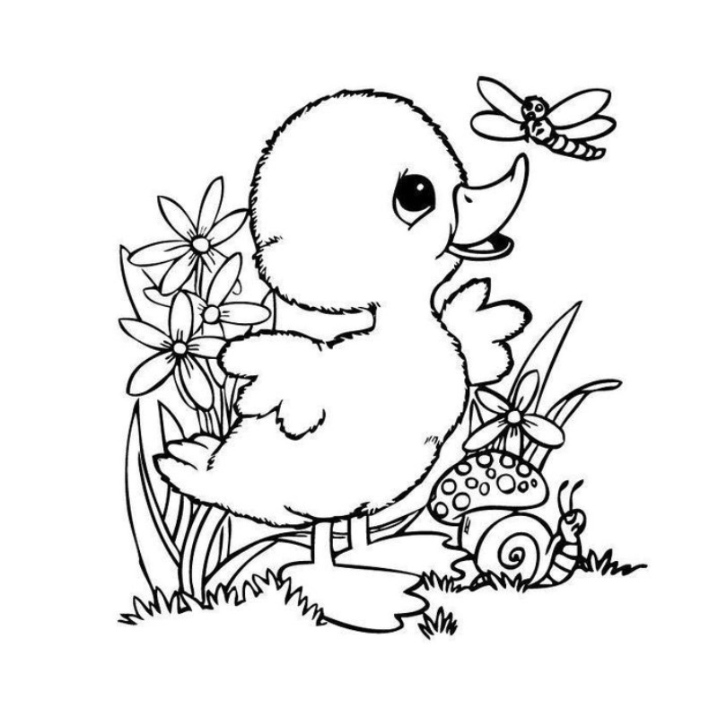 Bé vui tô tranh tô màu vịt donald sinh động và hấp dẫn