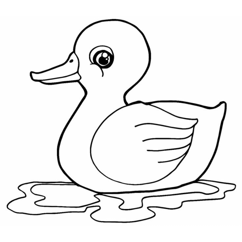 Dễ dàng tô màu với tranh tô màu con vịt đơn giản cho bé