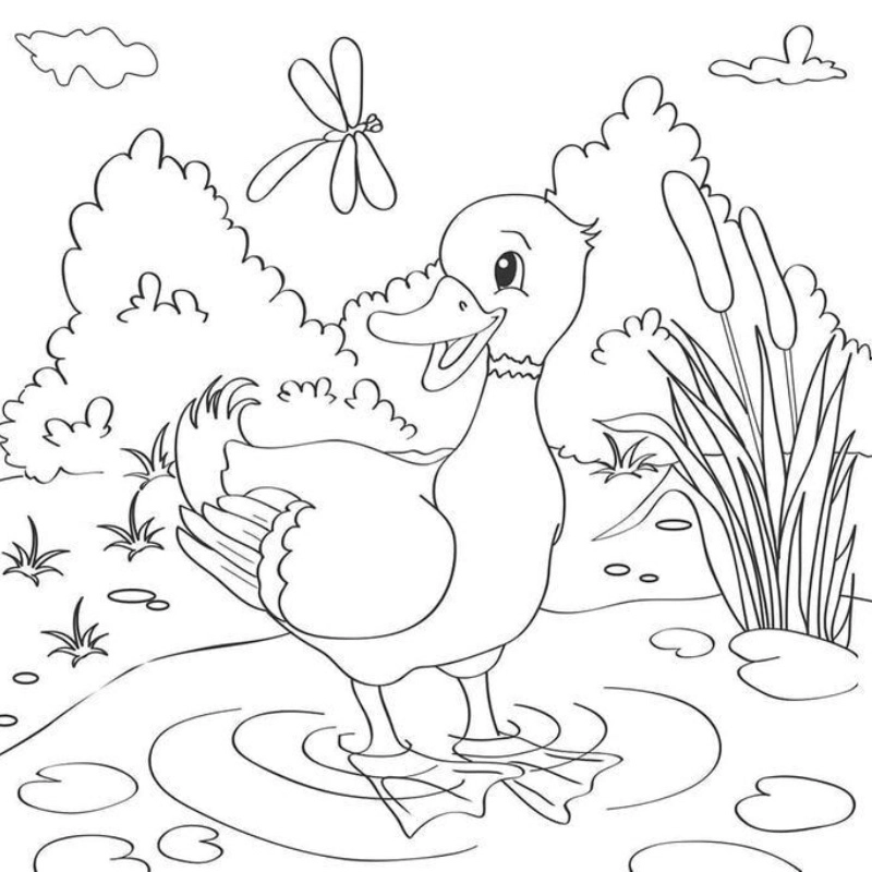 Khám phá tranh tô màu vịt bầu sinh động cho bé