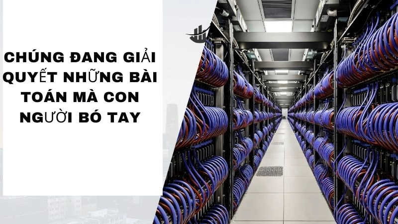 Chúng đang giải quyết những bài toán mà con người bó tay