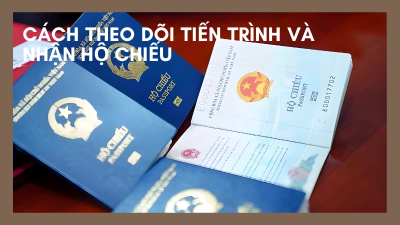 Quy định ảnh chân dung khi làm hộ chiếu trực tuyến cần nhớ