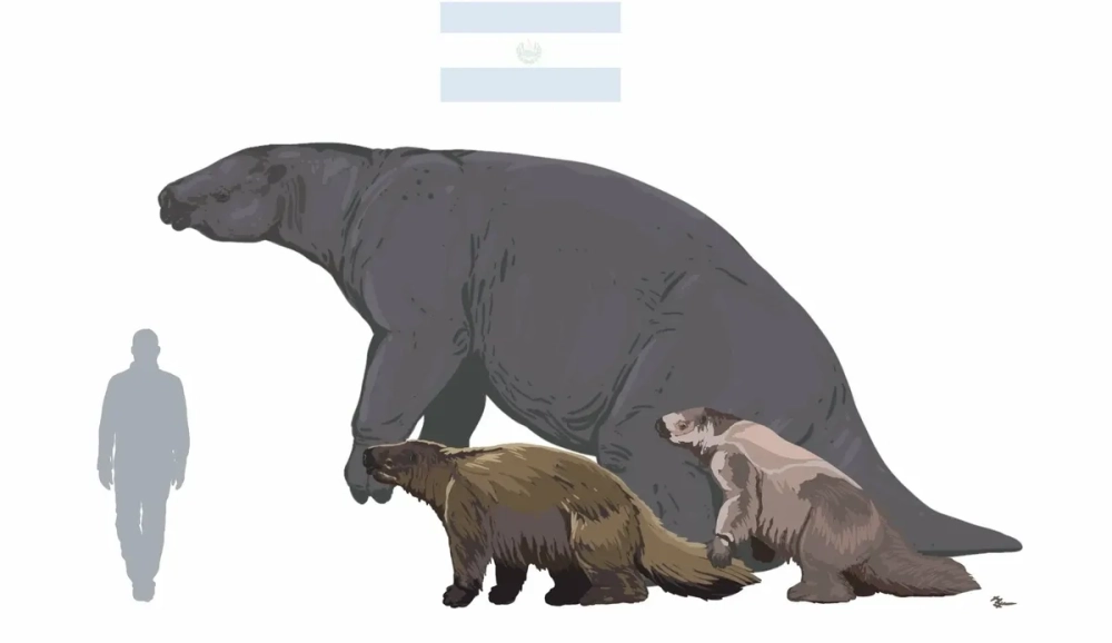 Hóa thạch xương đầu của hổ răng kiếm cực kỳ sắc bén