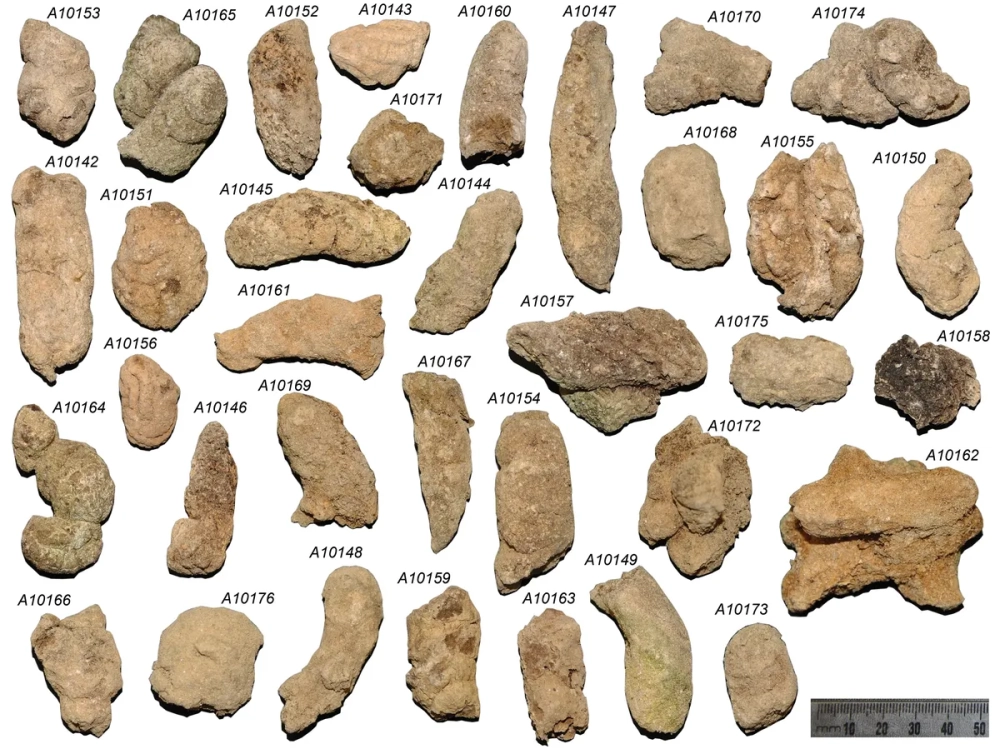 Phân tích vết mòn trên dụng cụ thời kỳ đồ đá để hiểu công năng