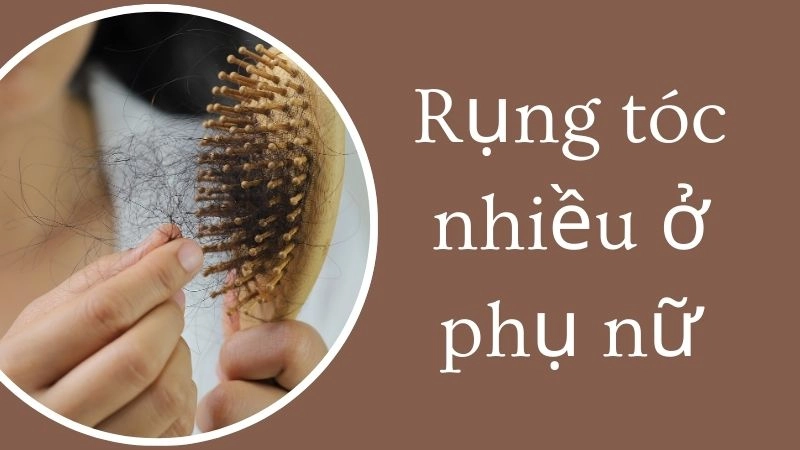 Nguồn cơn khiến sợi tóc rời bỏ da đầu phái đẹp